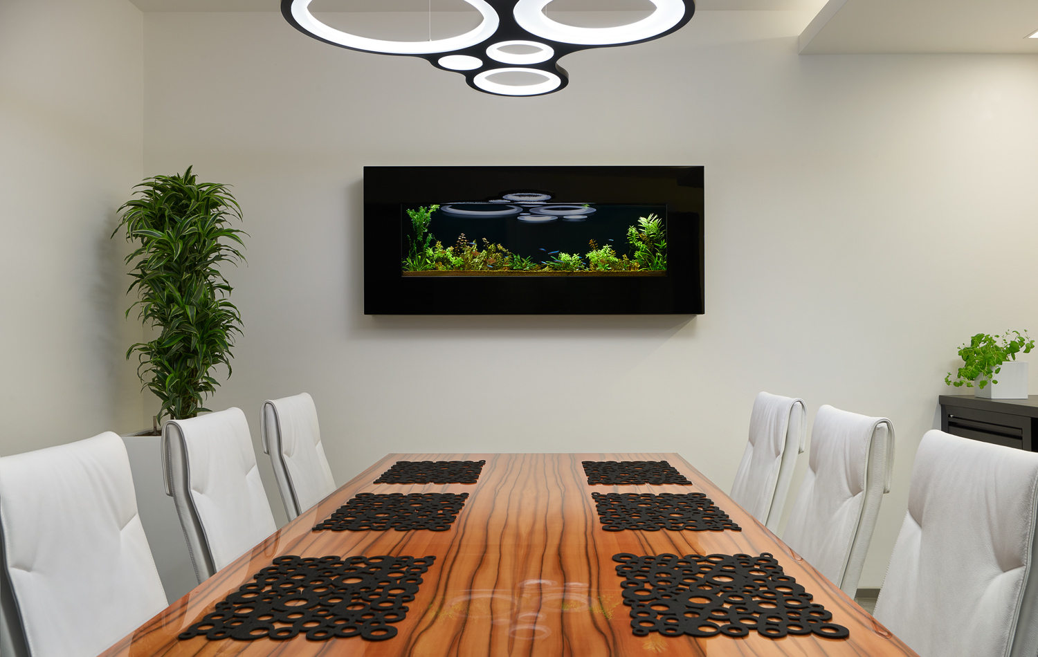 hanak_forum_interier_jidelni_stul_tineo
