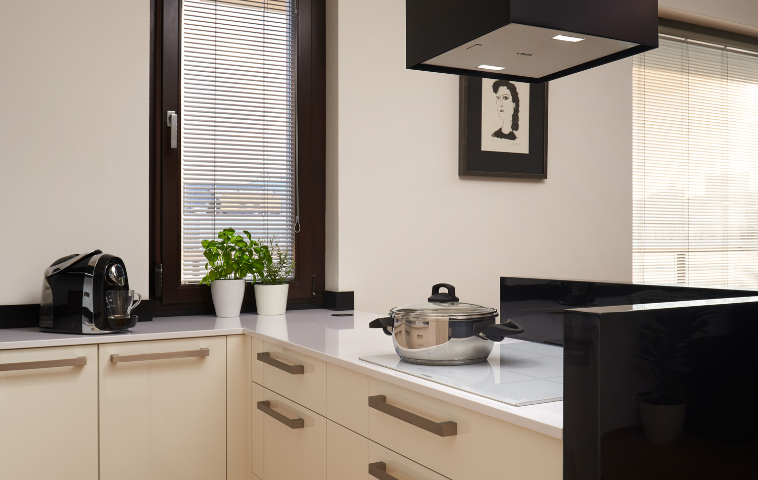 hanak_forum_realizace_lak_bila_cerna